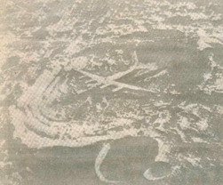 samolet malka.jpg