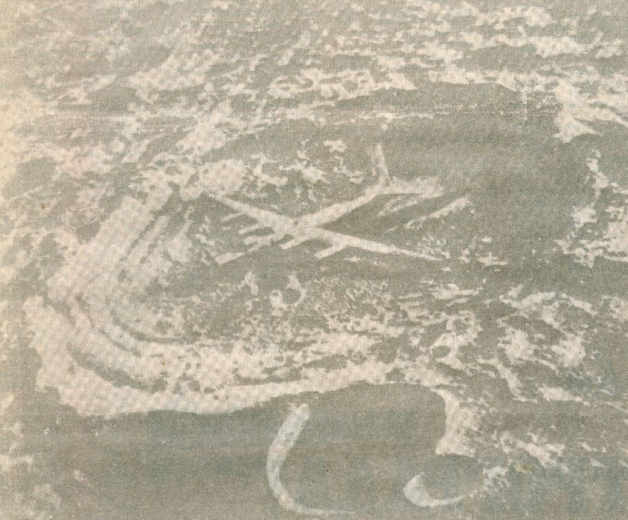 samolet.jpg